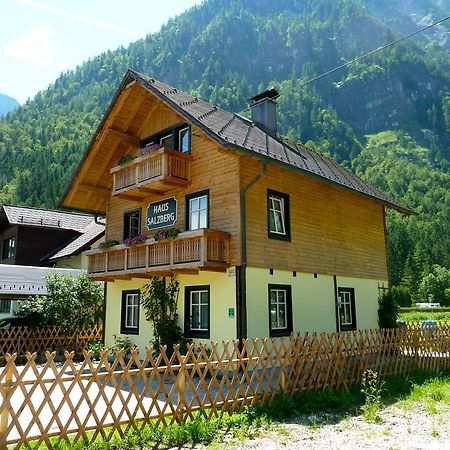 Haus Salzberg Daire Hallstatt Dış mekan fotoğraf